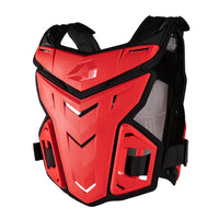 F1 Roost Deflector - 40th Anniversary