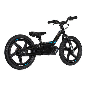 16eDdrive Brushless Electric Stability Cycle