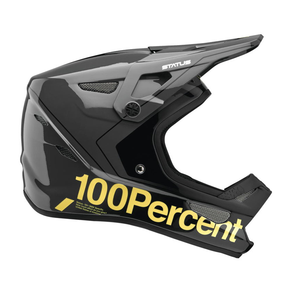 Status Downhill/BMX Helmet